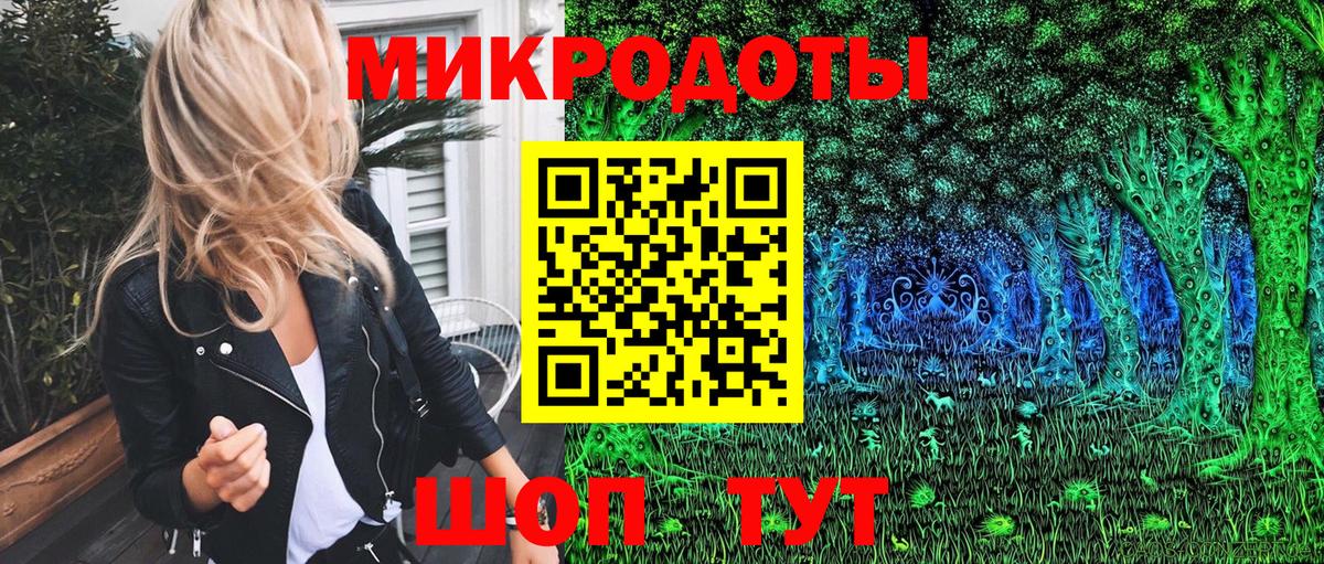 Галлюциногенные грибы Psilocybine cubensis Нижний Тагил